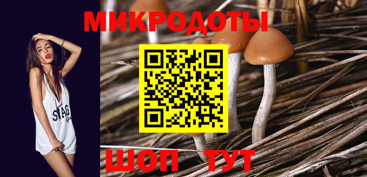 Галлюциногенные грибы Psilocybine cubensis  Вход с VPN  Батайск 