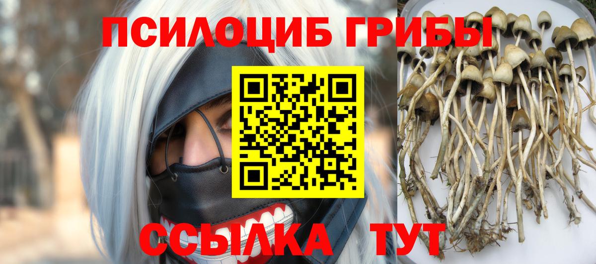 Галлюциногенные грибы мицелий Батайск